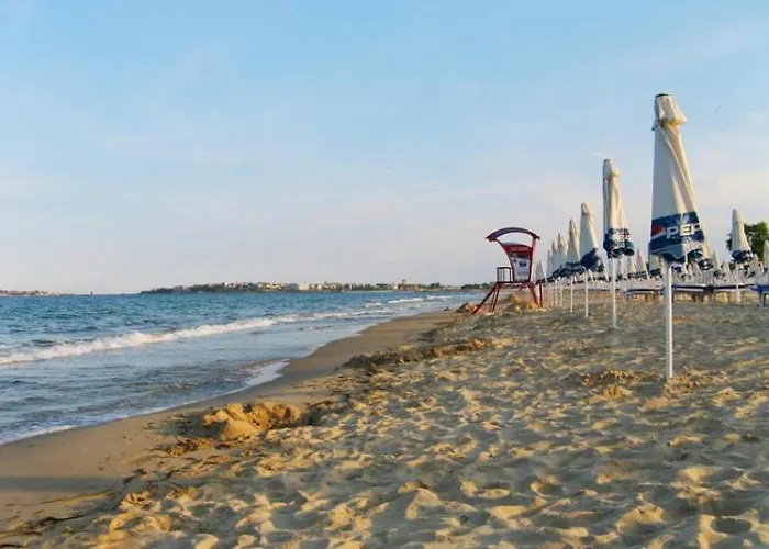 Grand Kamelia アパートホテル サニービーチ