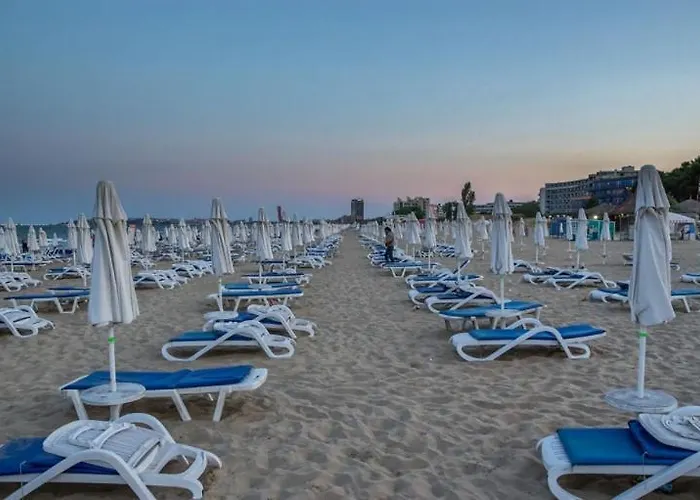 アパートホテル Grand Kamelia